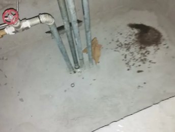 山南卫生间测漏水价格明细